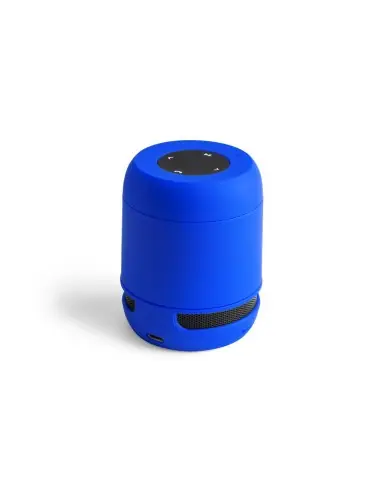 Altavoz Personalizado 84628 Altavoz Personalizado 84628
