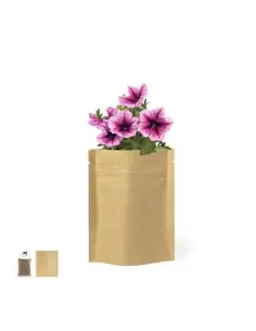 S/C