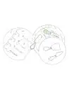 Set Quesos Personalizado 86950 - Imagen 8 Set Quesos Personalizado 86950 - Imagen 8