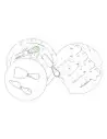 Set Quesos Personalizado 86950 - Imagen 12 Set Quesos Personalizado 86950 - Imagen 12