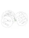 Set Quesos Personalizado 86950 - Imagen 13 Set Quesos Personalizado 86950 - Imagen 13
