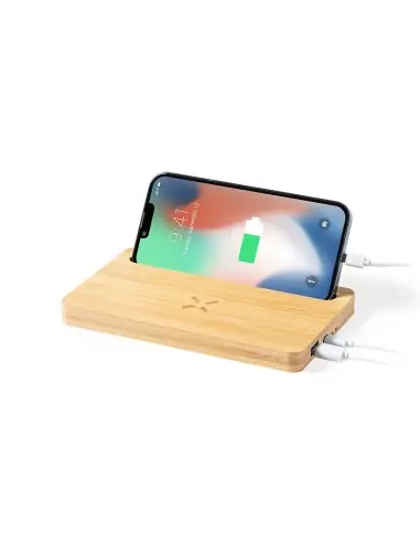 Cargador Organizador Personalizado 81438