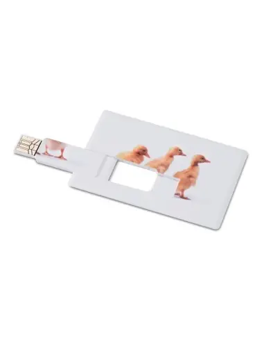 Creditcard. USB flash 16GB 7MO1059c Creditcard. USB flash 16GB 7MO1059c