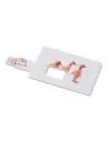 Creditcard. USB flash 16GB 7MO1059c - Imagen 1 Creditcard. USB flash 16GB 7MO1059c - Imagen 1