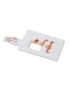 Creditcard. USB flash 16GB 7MO1059c - Imagen 5 Creditcard. USB flash 16GB 7MO1059c - Imagen 5