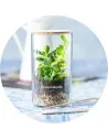 ▷ Macetas ecológicas personalizadas - Ecobranded
